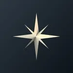 LightSIM